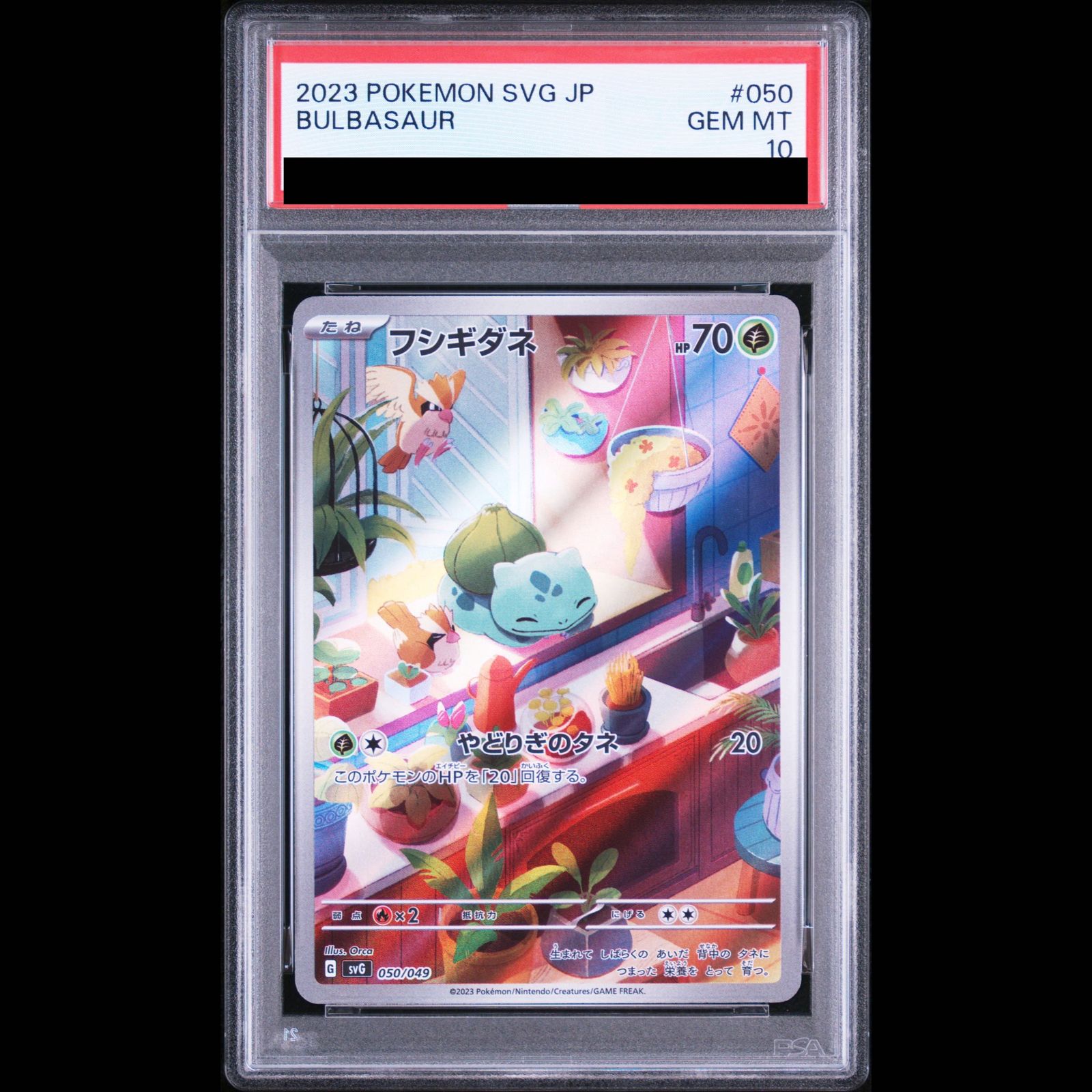 PSA10】フシギダネ(AR仕様) S-TD 050/049 1枚 - メルカリ
