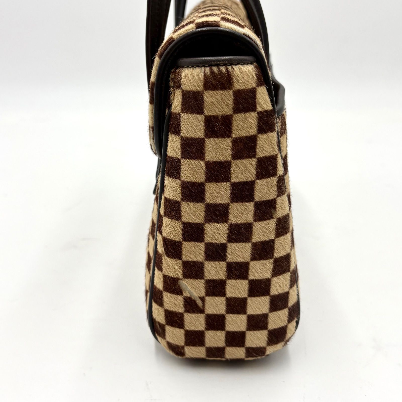 LOUIS VUITTON ルイヴィトン ダミエ ソバージュ ライオン ハラコ