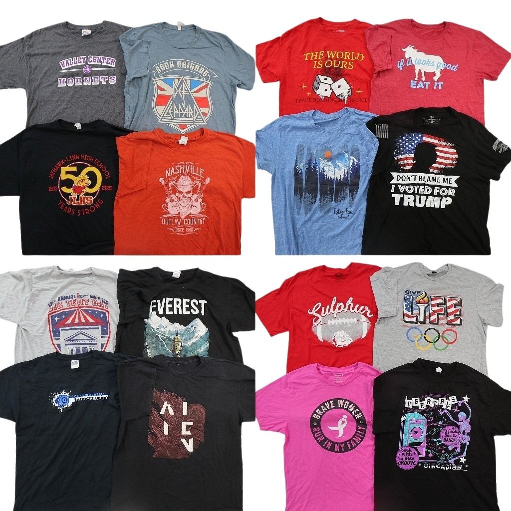 古着卸 まとめ売り プリント Tシャツ 16枚セット ( メンズ L ) 中古