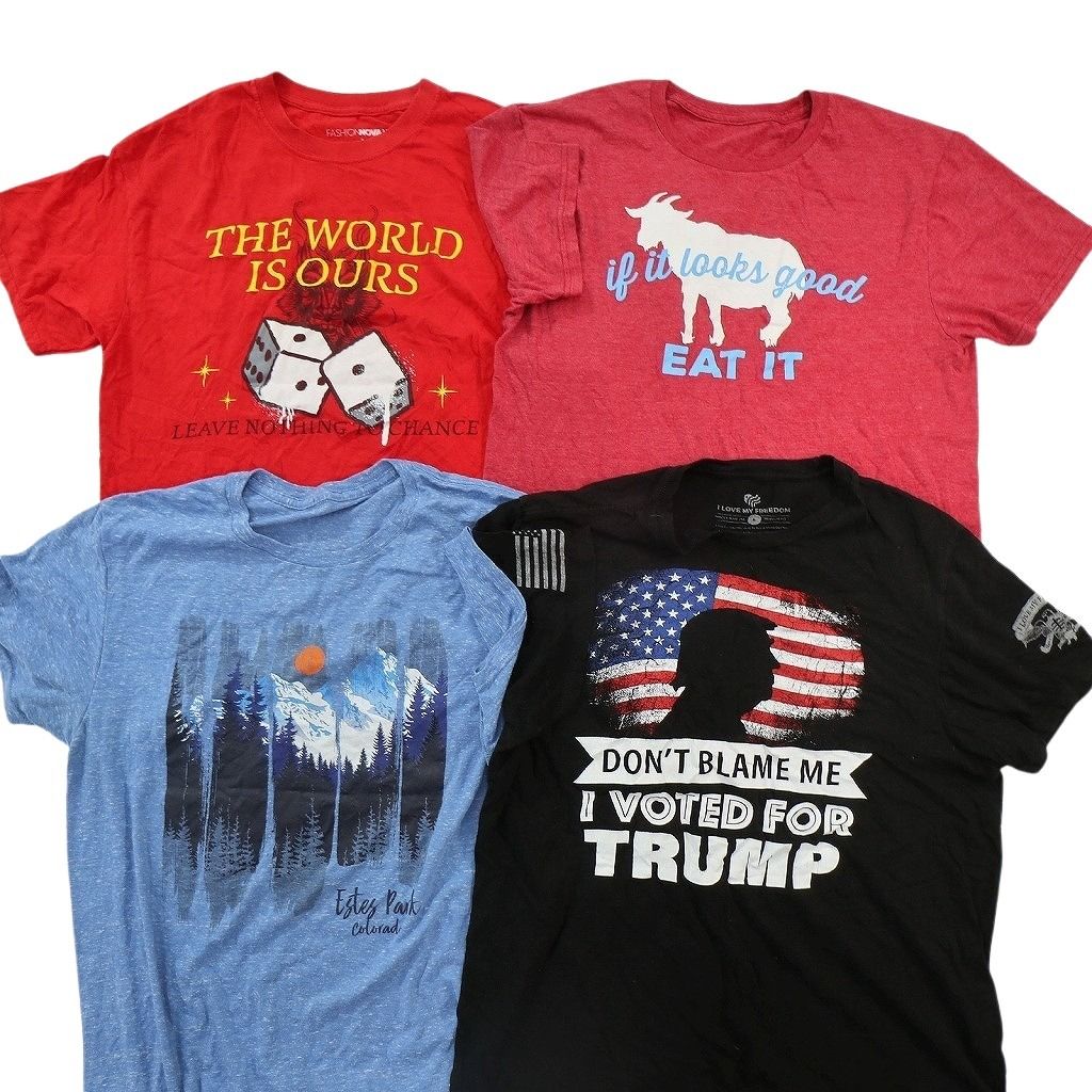 古着卸 まとめ売り プリント Tシャツ 16枚セット ( メンズ L ) 中古