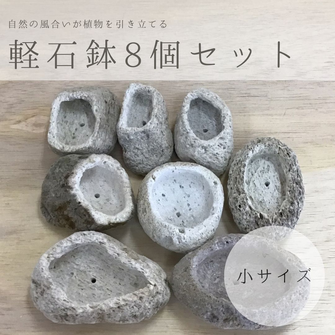 小サイズ｜アイテラスの軽石鉢 8個セット｜観葉植物や多肉植物に最適