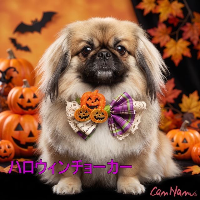 ハロウィン チョーカー キャンナナ CANNANA オータムハロウィンネック