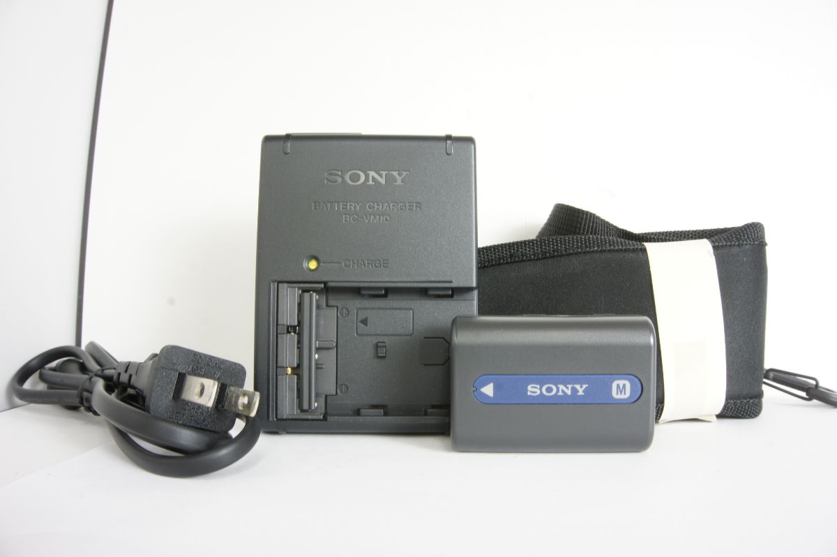SONY ソニーα100/ SONY DT 18-70mm F3.5-5.6 デジタル一眼レフカメラ KAJI364 thumbnail 10