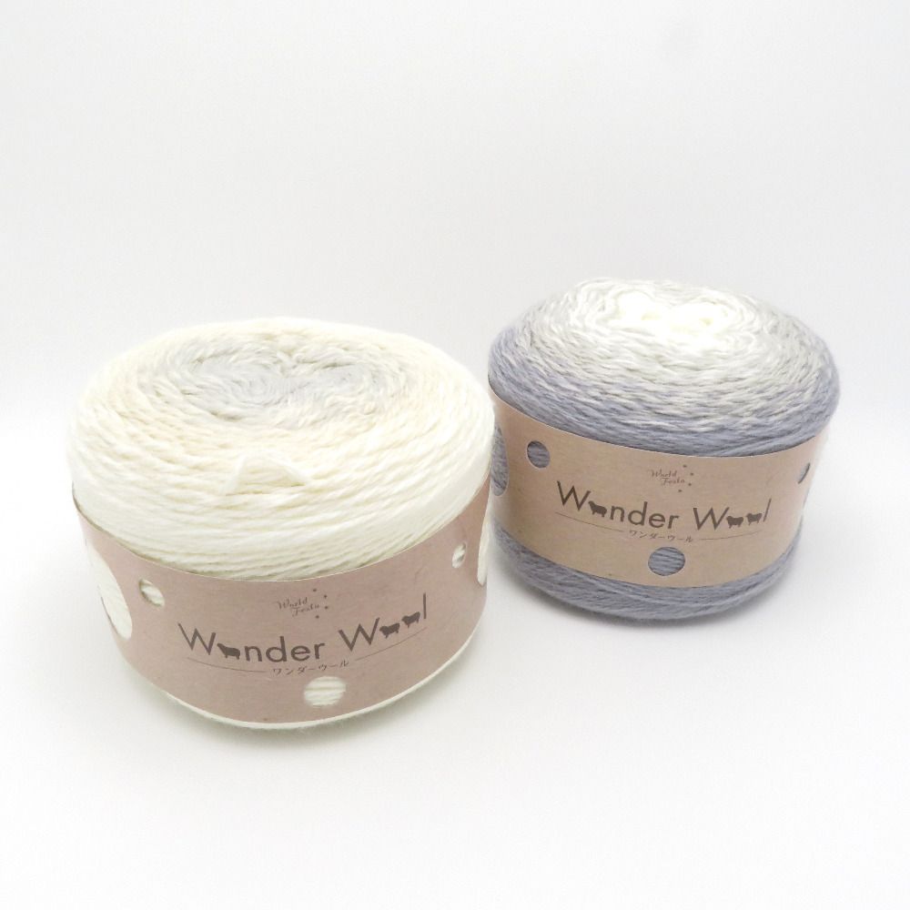 Yuzawaya ユザワヤ 毛糸 Wonder Wool ワンダーウール 2玉セッツト 色番12 色番31 グラデーション 並太 未使用品