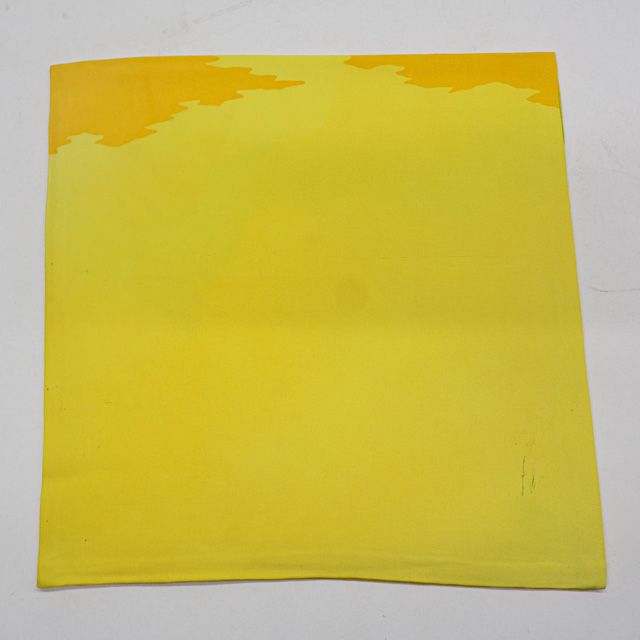 https://assets.mercari-shops-static.com/-/large/plain/2JXoRDbhEFXBtVmckVz6X4.jpg@jpg