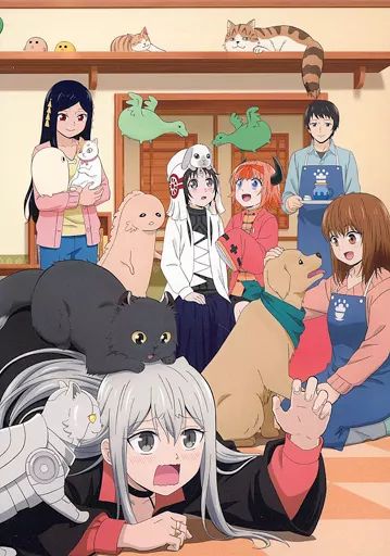 【中古】アニメBlu-ray Disc カワイスギクライシス Blu-ray BOX