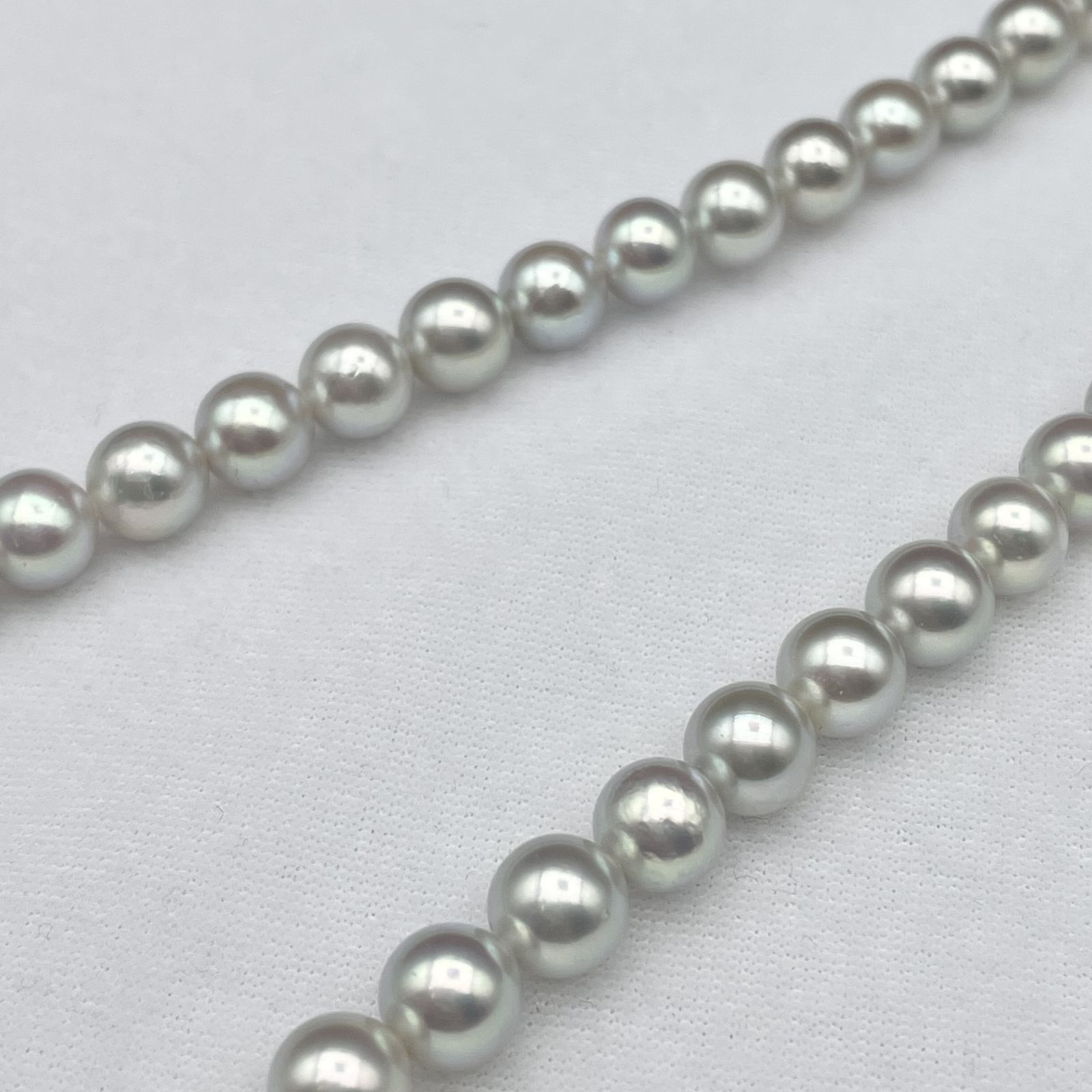 TASAKI アコヤ真珠 ネックレス 7.5 パール 本真珠 グレー テリ強 TASAKI アコヤ真珠 パール ネックレス 7.5-8.0mm Silver【2915661-1007