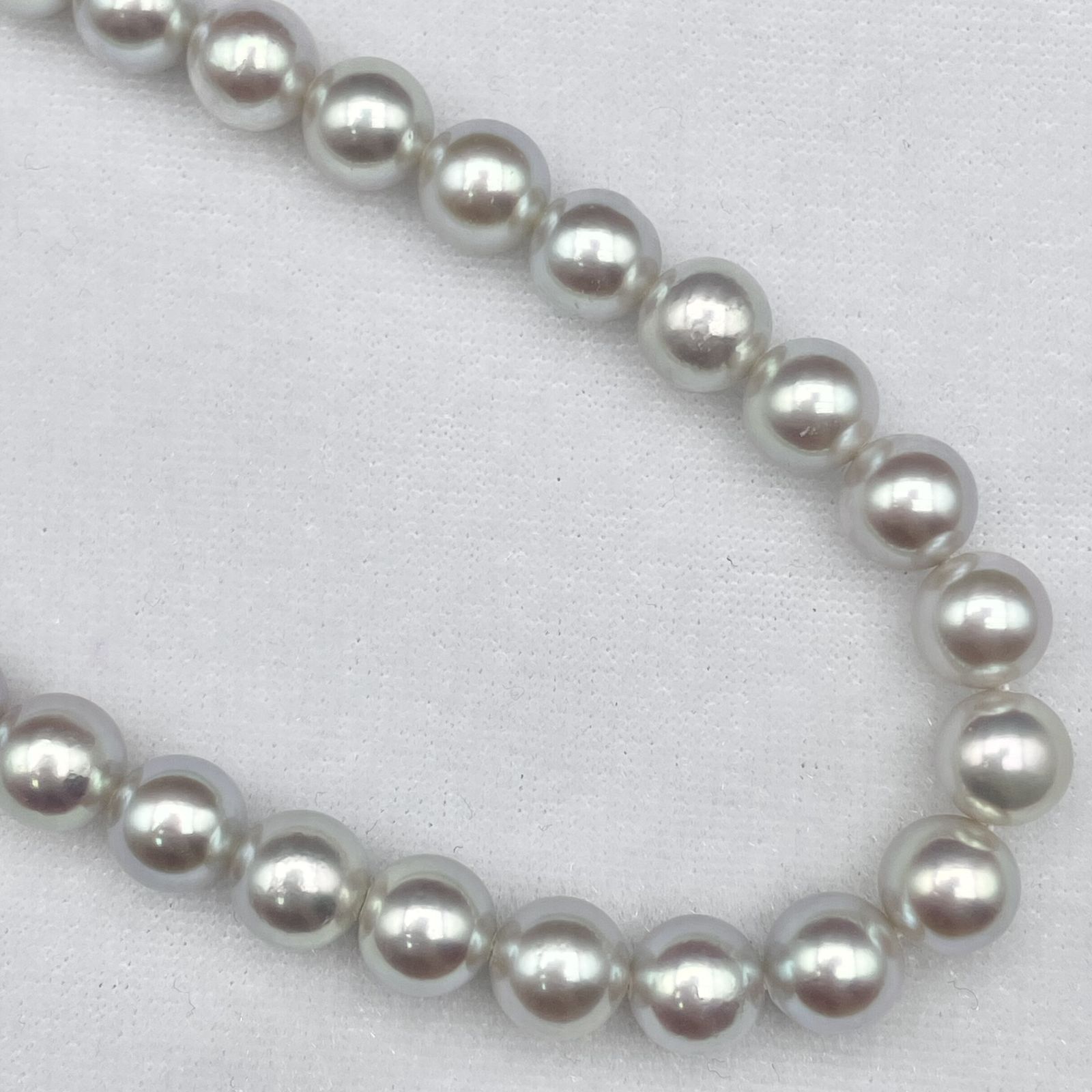 TASAKI アコヤ真珠 パール ネックレス 7.5-8.0mm Silver【2915661-1007