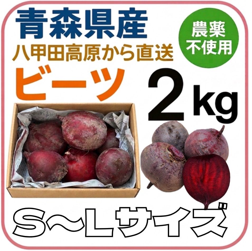 青森県 南八甲田高原産⛰️】Sサイズ〜Lサイズ 甘いビーツ 2kg以下