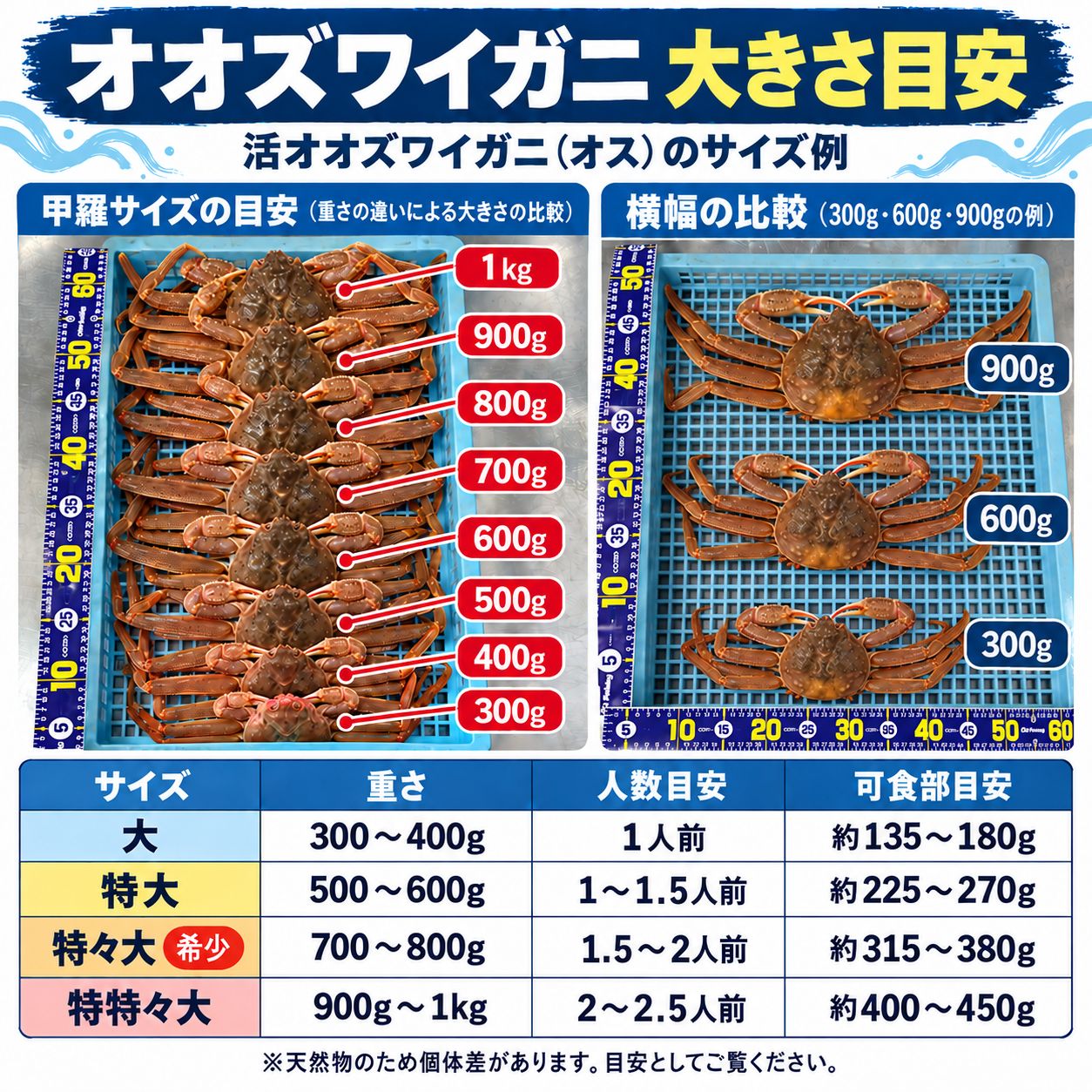 北海道産 オオズワイガニ 2kg 訳あり ボイル冷凍 - メルカリ