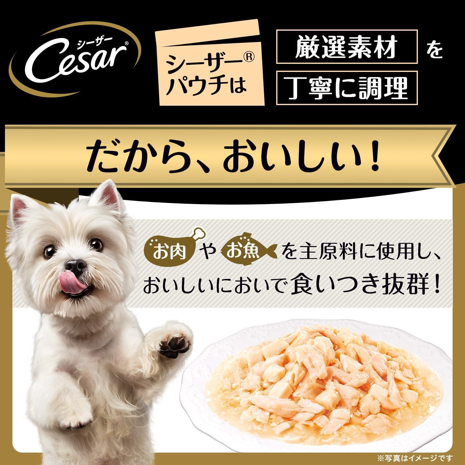 シーザー パウチ 成犬用 70gx16袋 やわらかささみ&白身魚入り 低脂肪