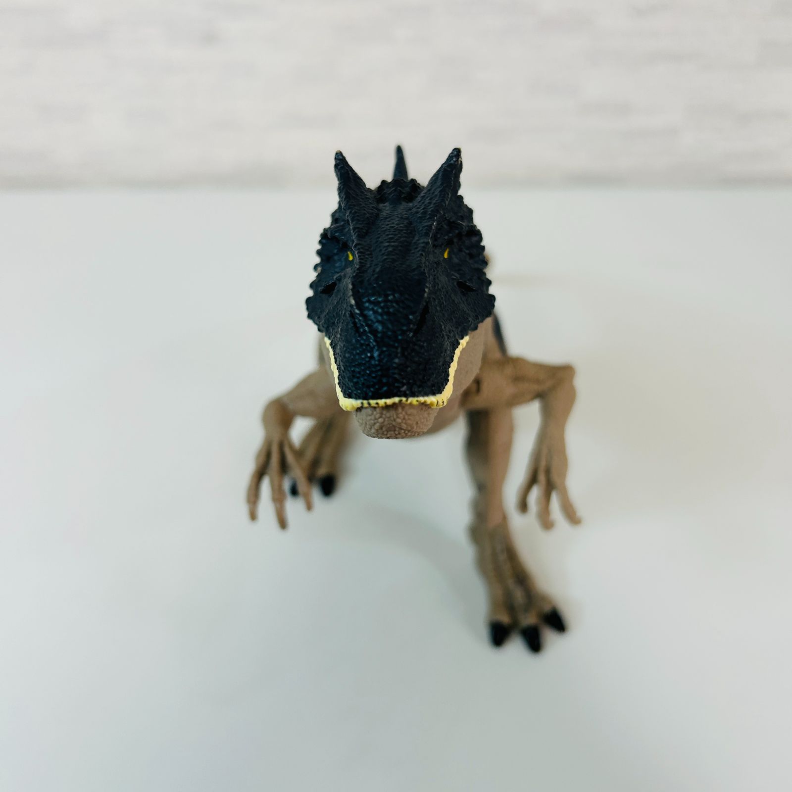 https://assets.mercari-shops-static.com/-/large/plain/2JXosdeKJaudUkEVzzzdDi.jpg@jpg