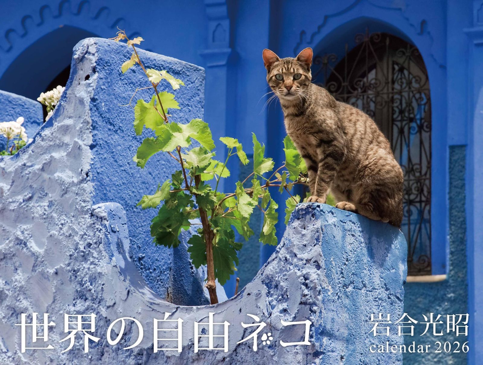 2026　世界の自由ネコ (カレンダー)