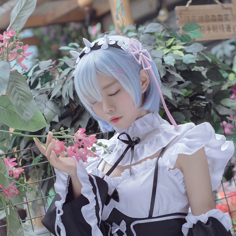 S～4L大人サイズ ゼロから始める異世界生活 レム ラム コスプレ衣装