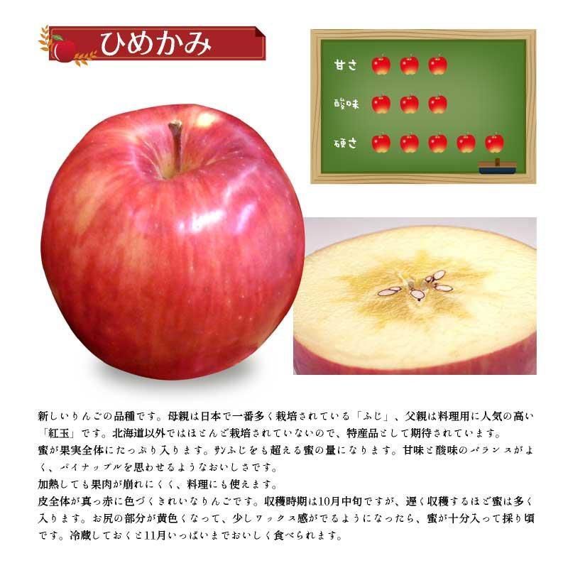 りんご ひめかみ 約5kg 期間限定 - メルカリ