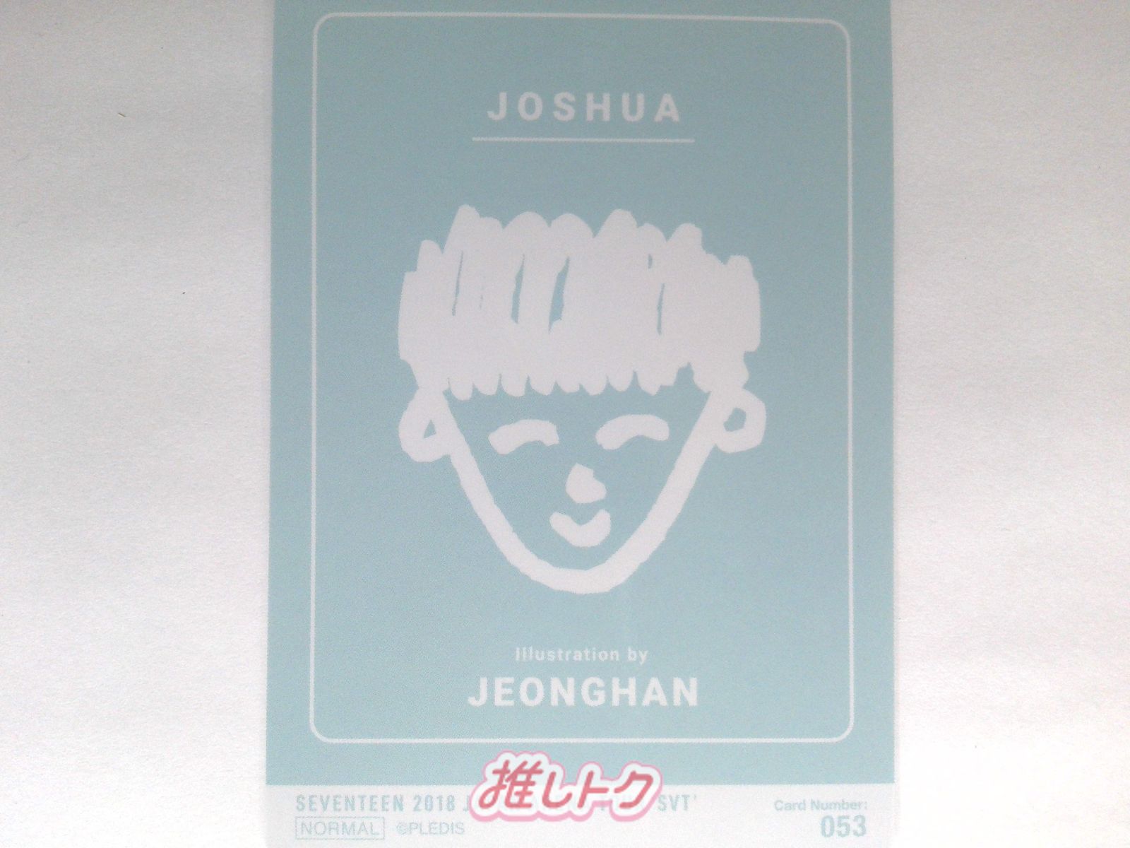 SEVENTEEN JEONGHAN トレカ 2018 JAPAN ARENA TOUR 'SVT' ジョンハン