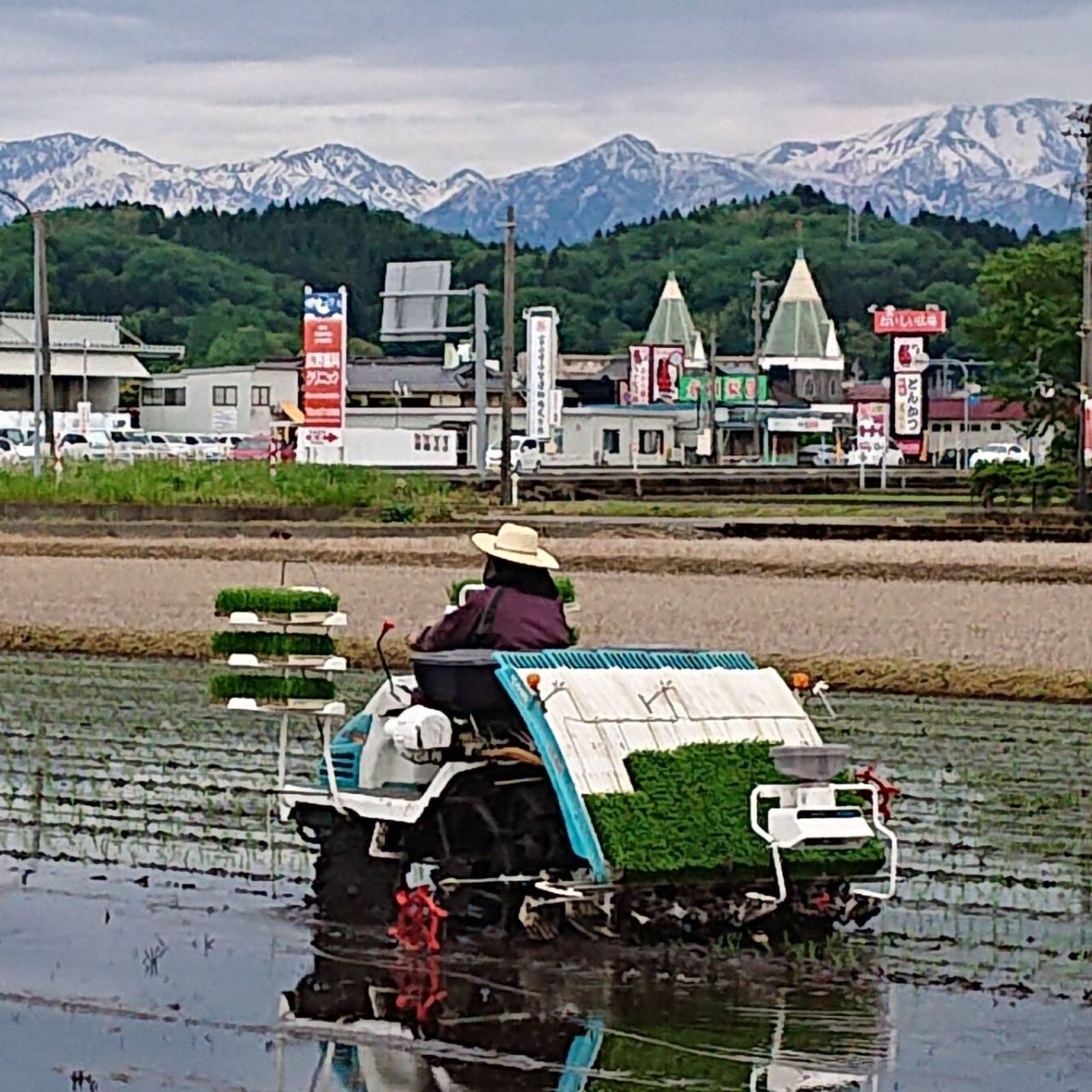 R8年富山県産コシヒカリ白米4.5kg×1袋✳️関東、東海、信越、関西地域