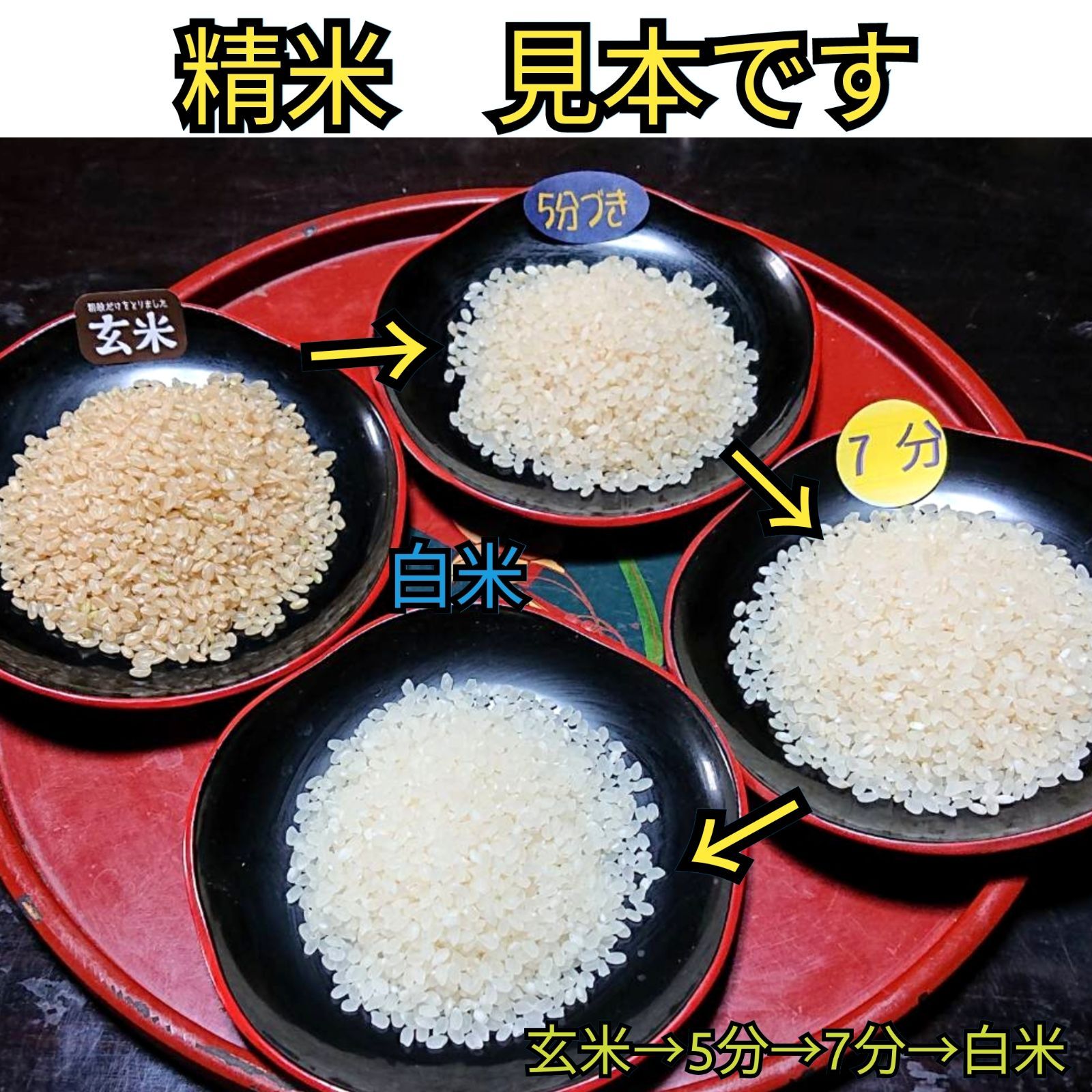 R7年富山県産コシヒカリ白米4.5kg×4袋✳️関東、東海、信越、関西地域限定 R8年富山県産コシヒカリ白米4.5kg×1袋✳️関東、東海、信越、関西地域