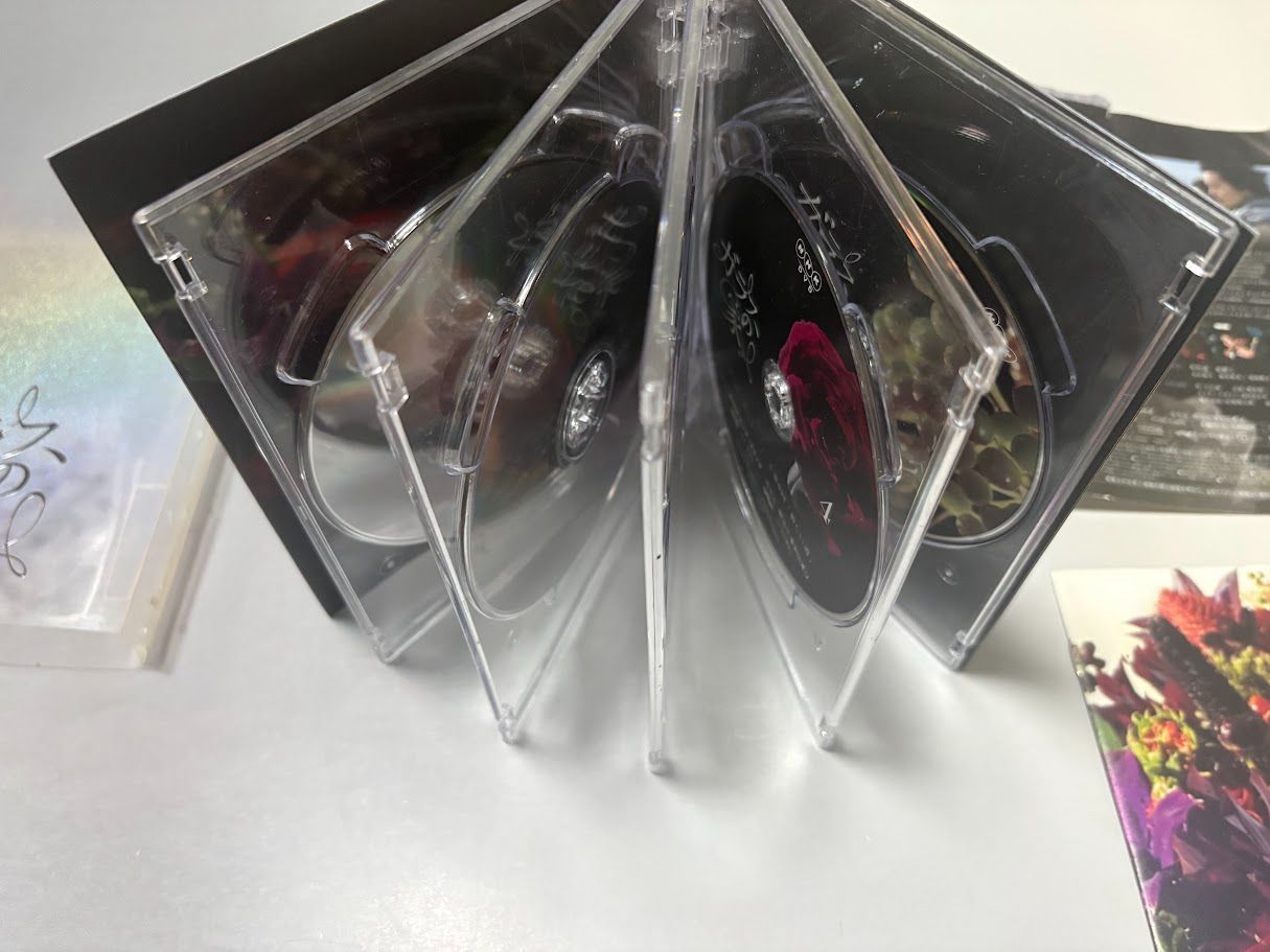 ガラスの家 DVD-BOX 井川遥 斎藤工 永山絢斗 - メルカリ