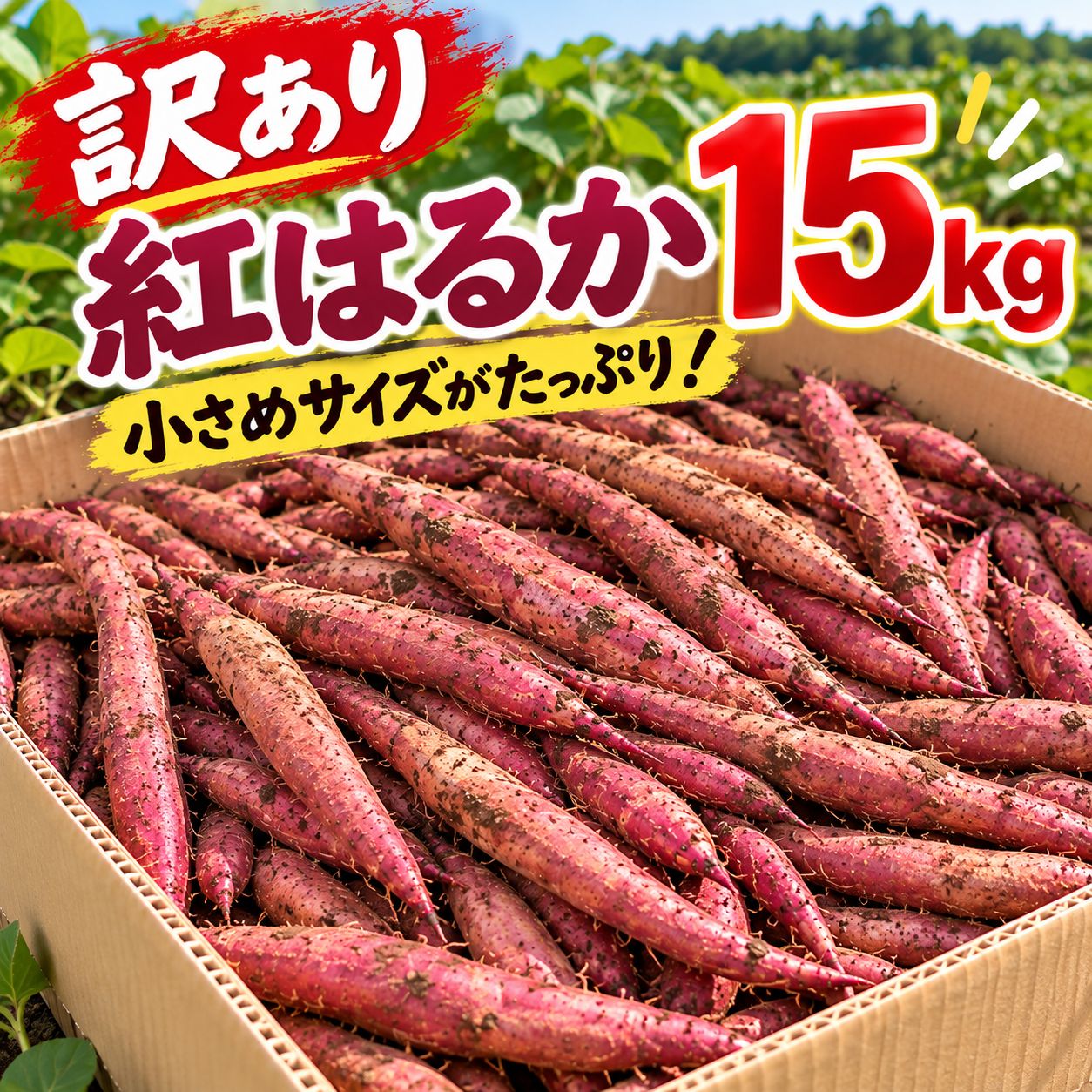 べにはるか　A品M 15キロ 茨城県産 紅はるか 訳あり 細いチビ芋 15kg - メルカリ