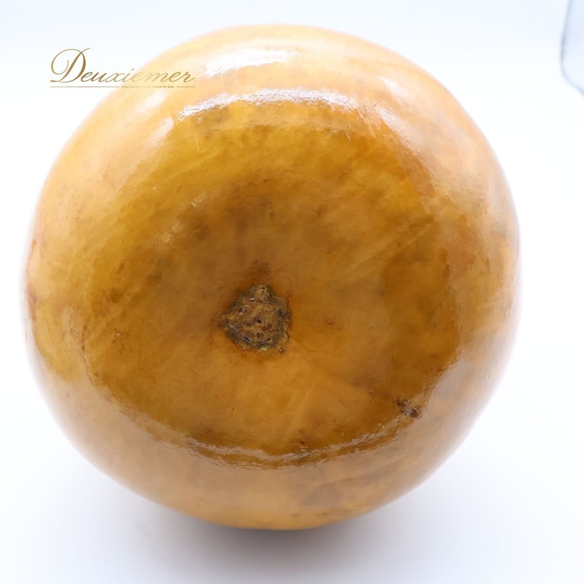 民族舞踊 光沢