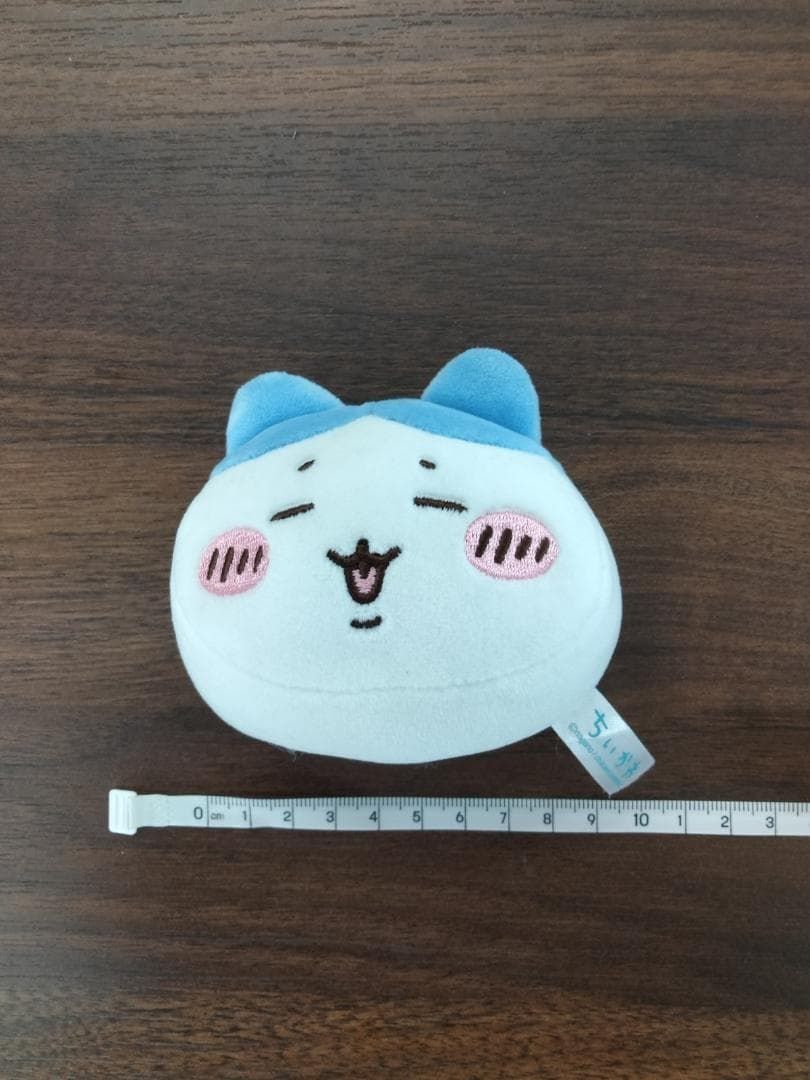 https://assets.mercari-shops-static.com/-/large/plain/2JXte5U7AJLXKnMLzKobAA.jpg@jpg