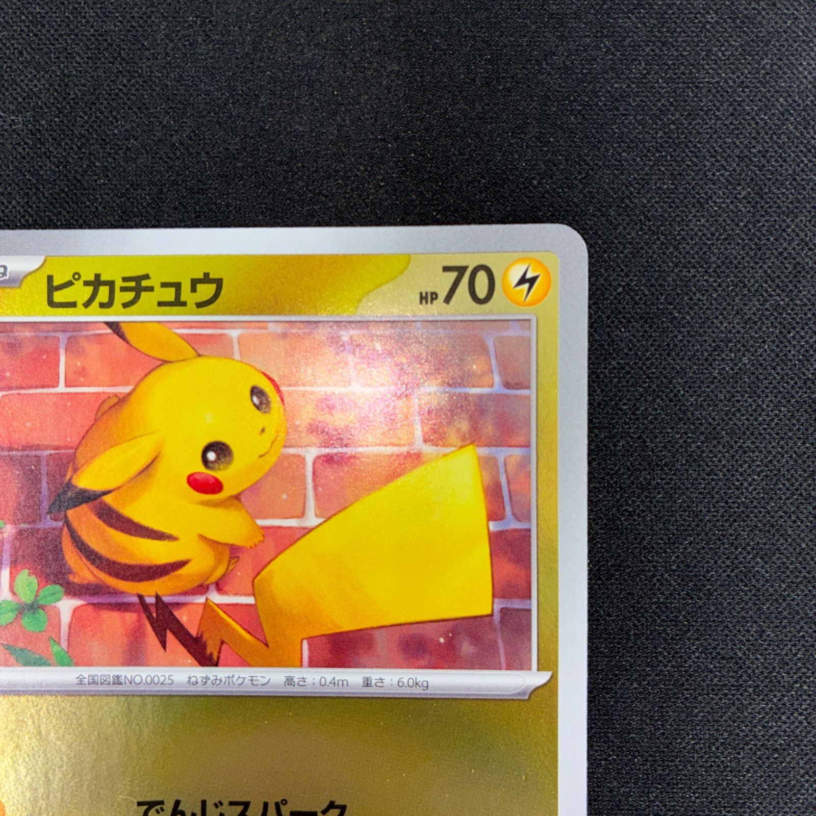 状態S ピカチュウ 216/SV-P スカーレット&バイオレットプロモカード