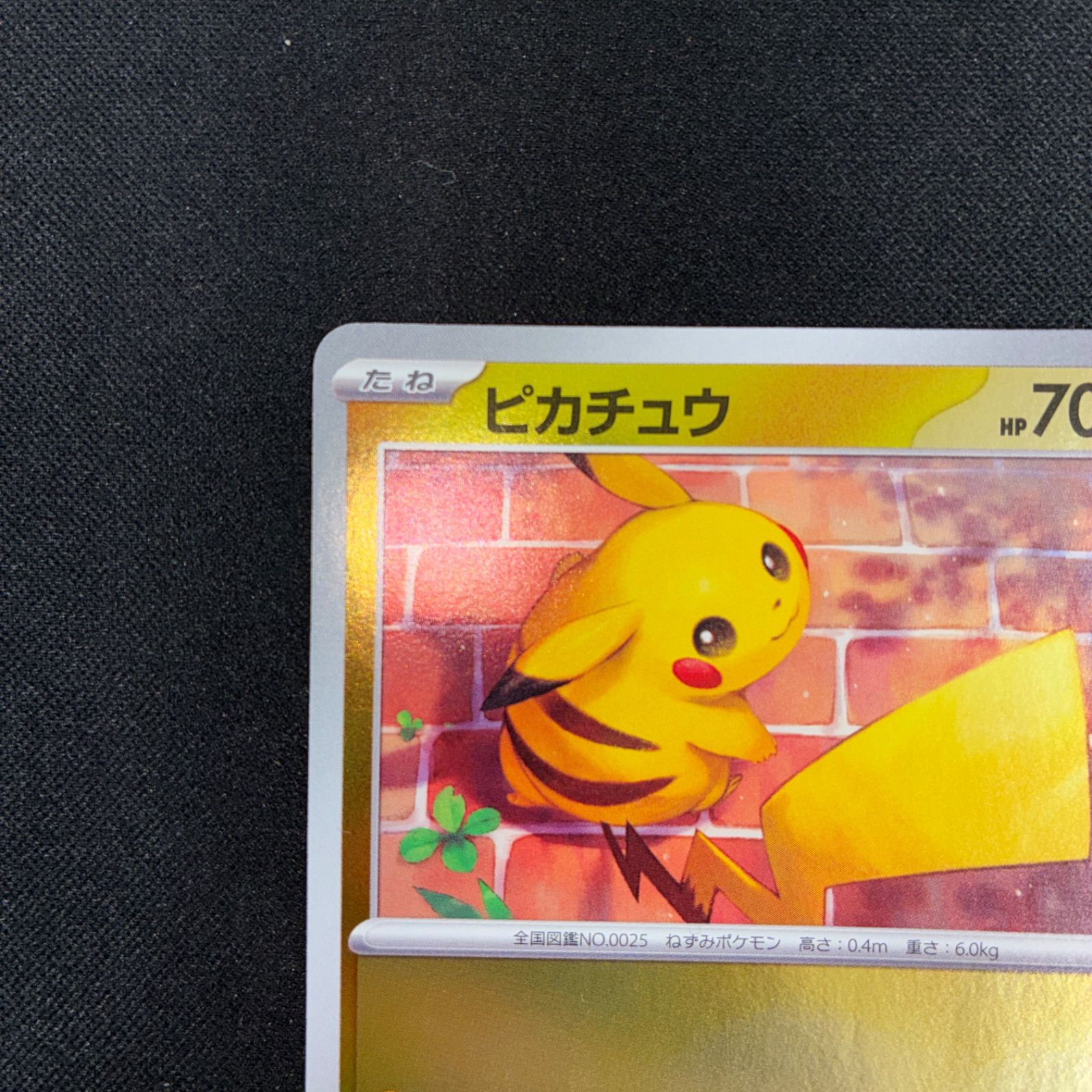 状態S ピカチュウ 216/SV-P スカーレット&バイオレットプロモカード
