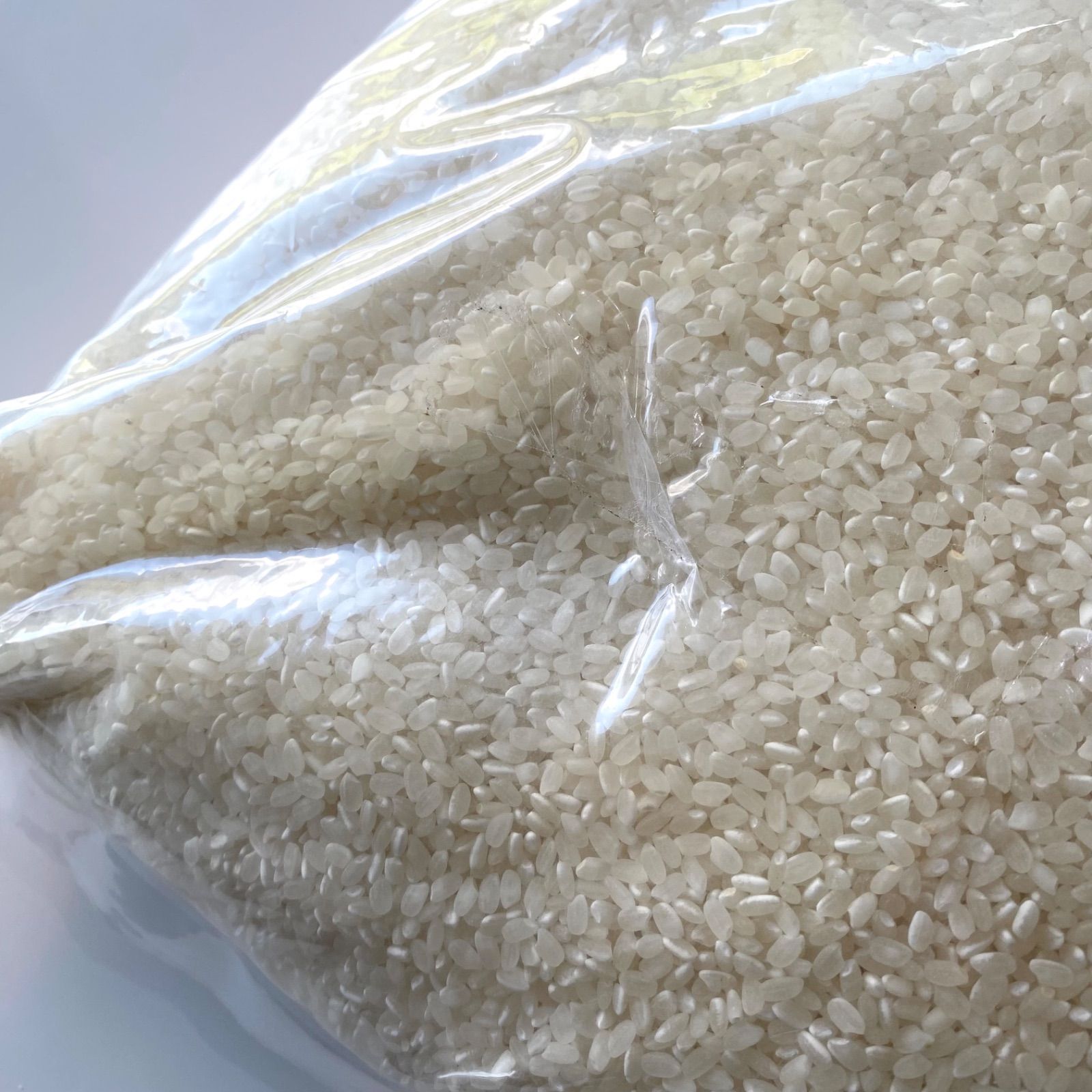 三重県産 コシヒカリ 10kg 米 - メルカリ