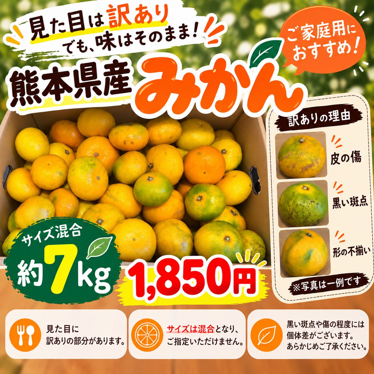 理由あり特価】熊本県産みかん 約7kg サイズ混合 皮の傷・斑点あり ご