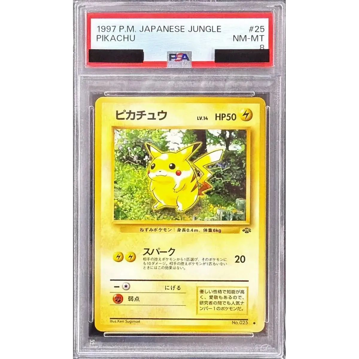 PSA8鑑定済〕ピカチュウ LV.14(マークあり)【○】{旧裏} - メルカリ