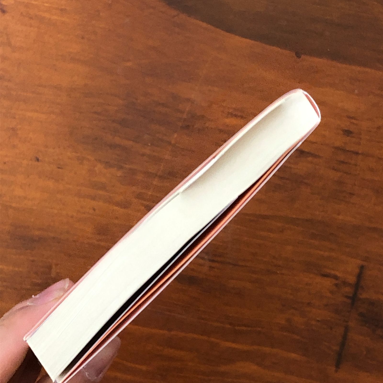 https://assets.mercari-shops-static.com/-/large/plain/2JXwPSqRmt8cn2PEgUU9To.jpg@jpg