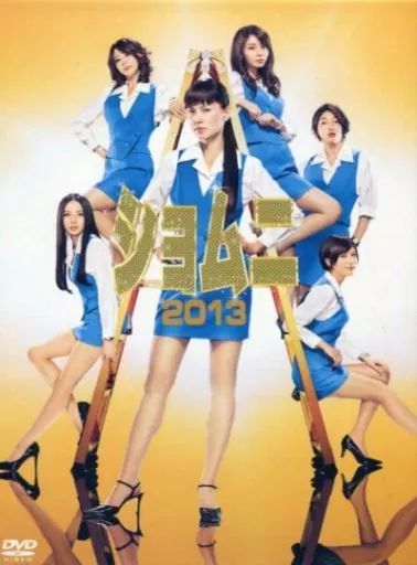 【中古】国内TVドラマDVD ショムニ2013 DVD-BOX