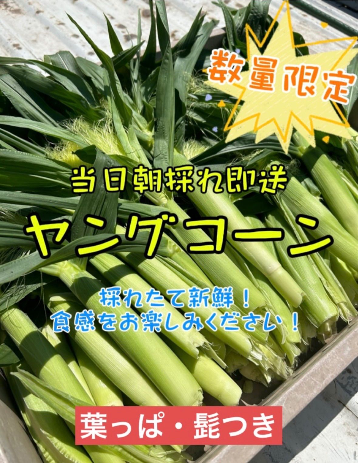ヤングコーン 葉っぱ髭つき - メルカリ