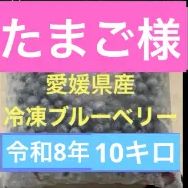 たまご様専用 - メルカリ