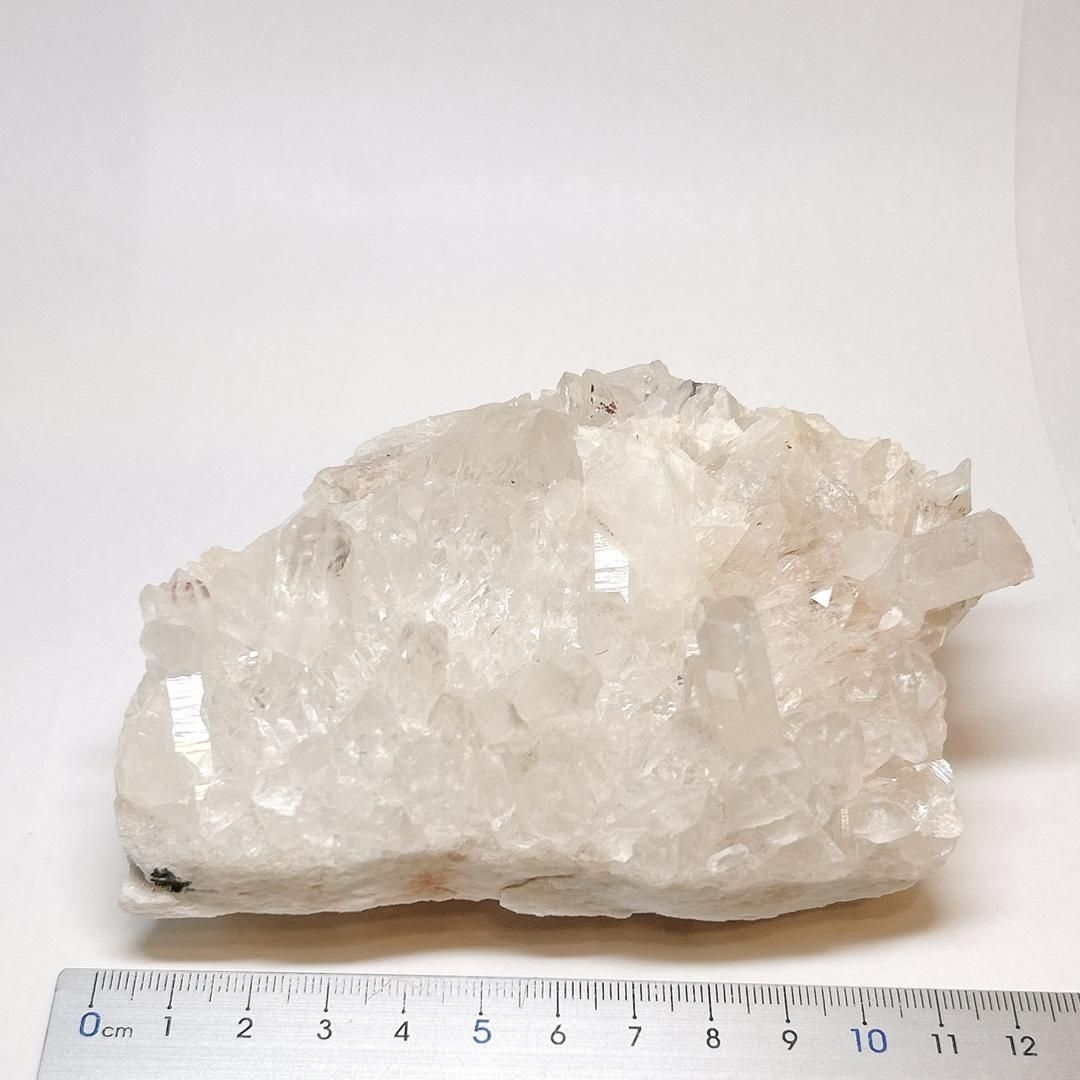 https://assets.mercari-shops-static.com/-/large/plain/2JXywuijDUP69sSp7N2hSY.jpg@jpg