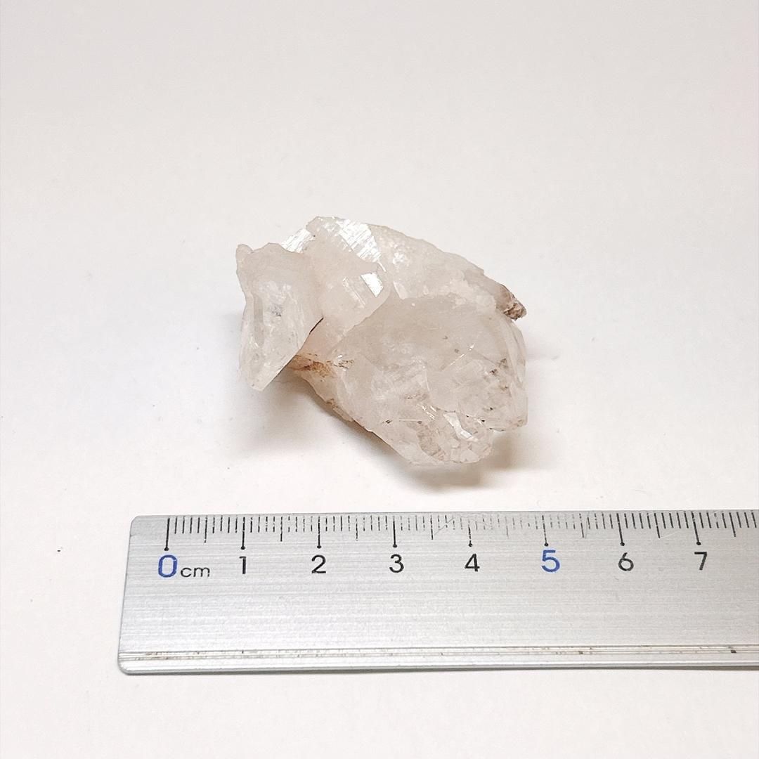 https://assets.mercari-shops-static.com/-/large/plain/2JXywv6Wu3pkp4QUtzy8LZ.jpg@jpg