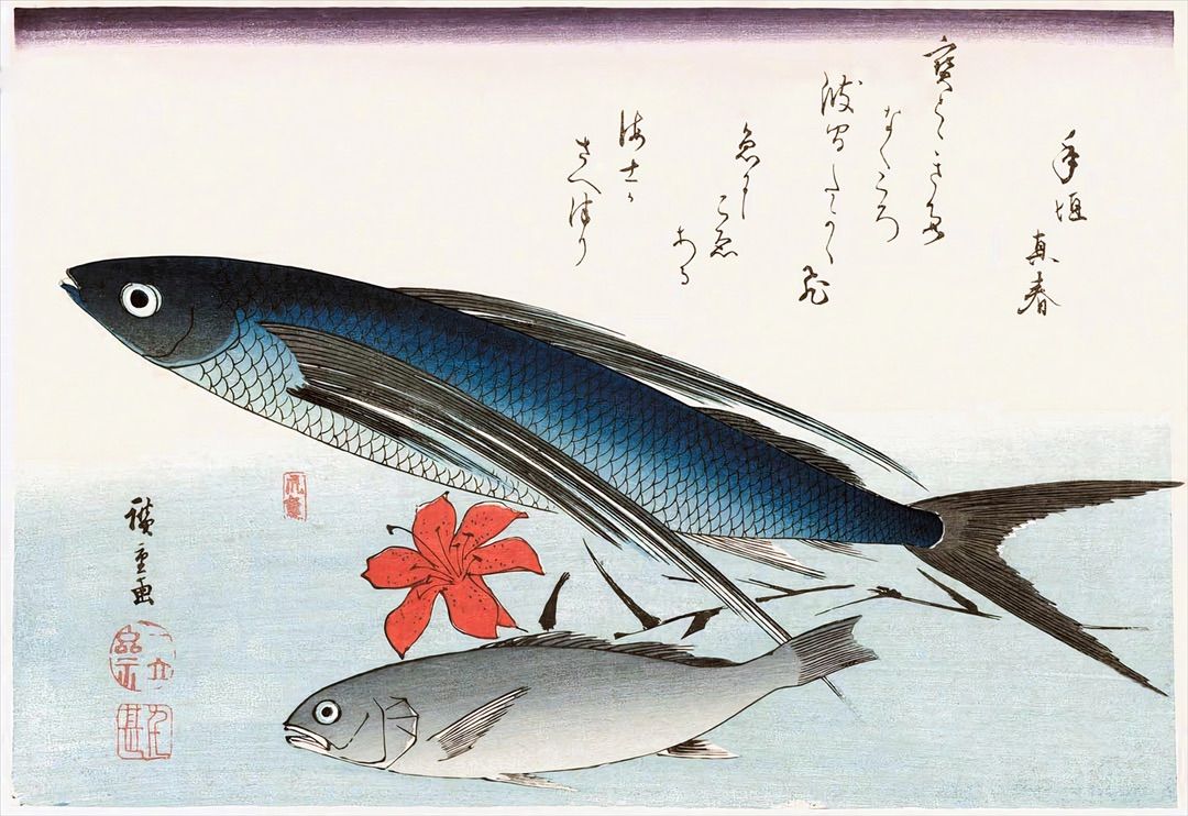 歌川広重 魚づくし 飛魚 石もちに百合 約56×38.4cm【追跡あり】 大
