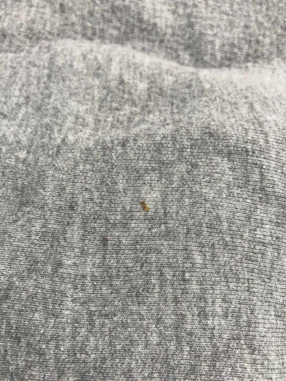 https://assets.mercari-shops-static.com/-/large/plain/2JY4CXwsfvhhpvhawfWmdp.jpg@jpg