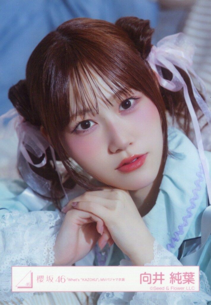 櫻坂46 Lonesome rabbit / What's “KAZOKU”? 向井純葉 「What's