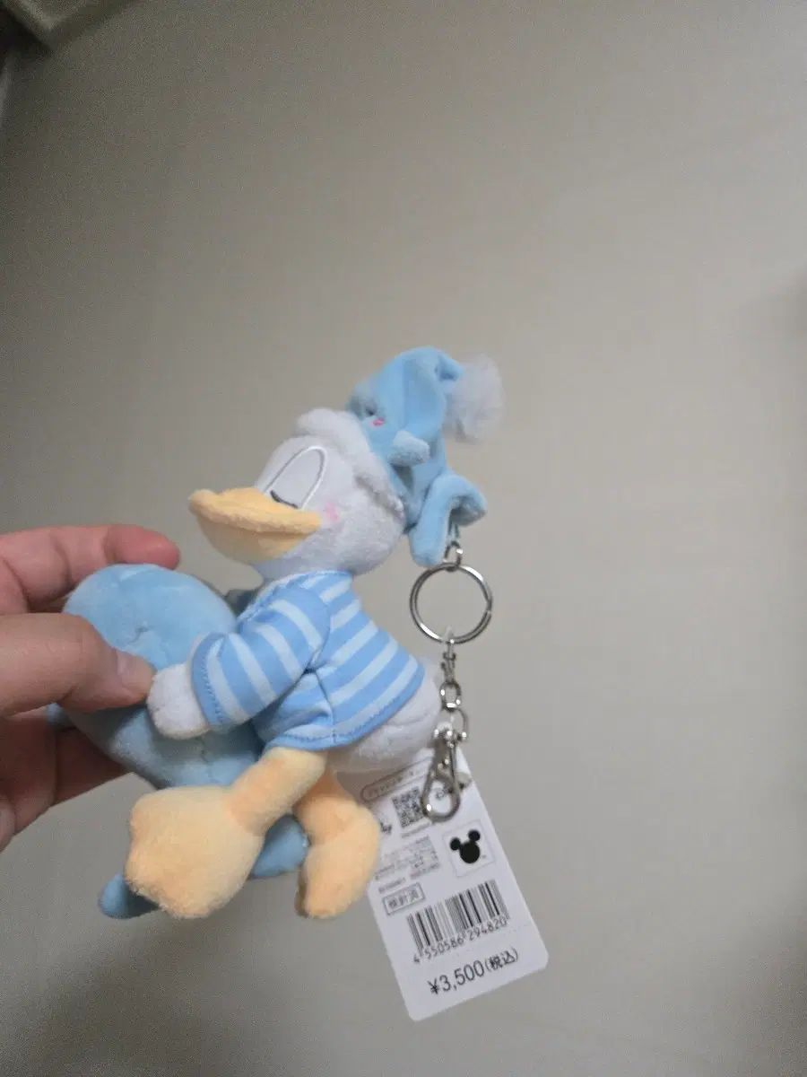 https://assets.mercari-shops-static.com/-/large/plain/2JY4WCuPcXgJhsrtfDBJLu.webp@jpg