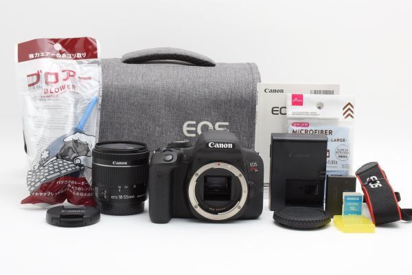☆極上美品☆ 《ショット数1,242回》キヤノン Canon EOS KISS X9i EFS
