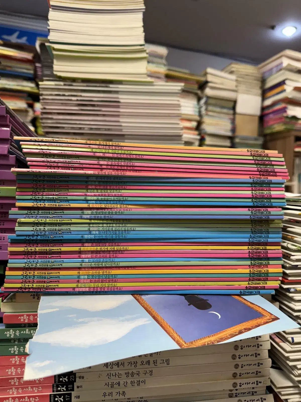 グリーンキッズ 自然観察 ペーパーバック 韓国ピアーチェ 39巻 セット 子供向けの本 中古本 11,327円