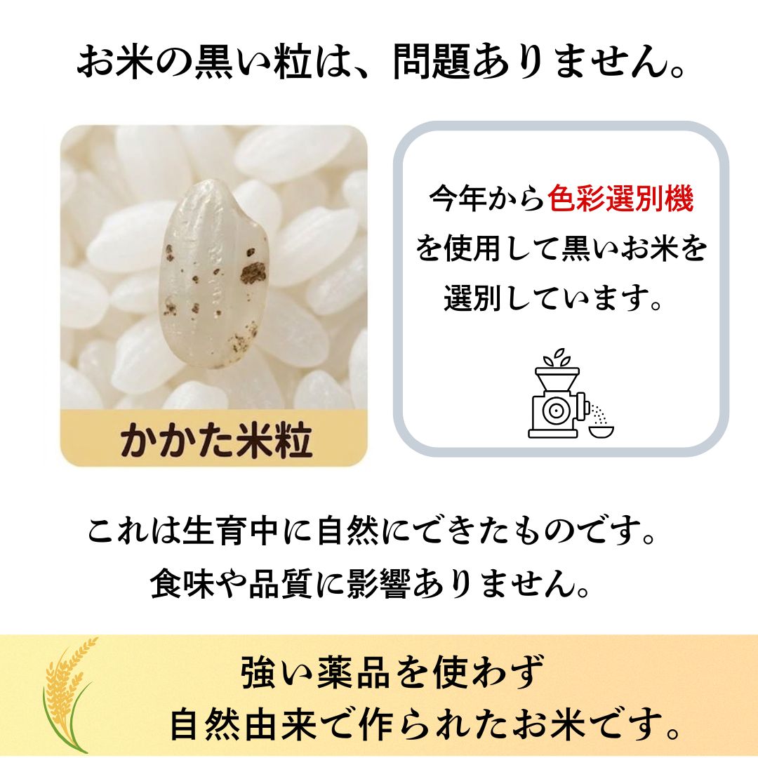 茨城 八郷産 コシヒカリ 玄米10kg 白米9kg 農家直送 - メルカリ