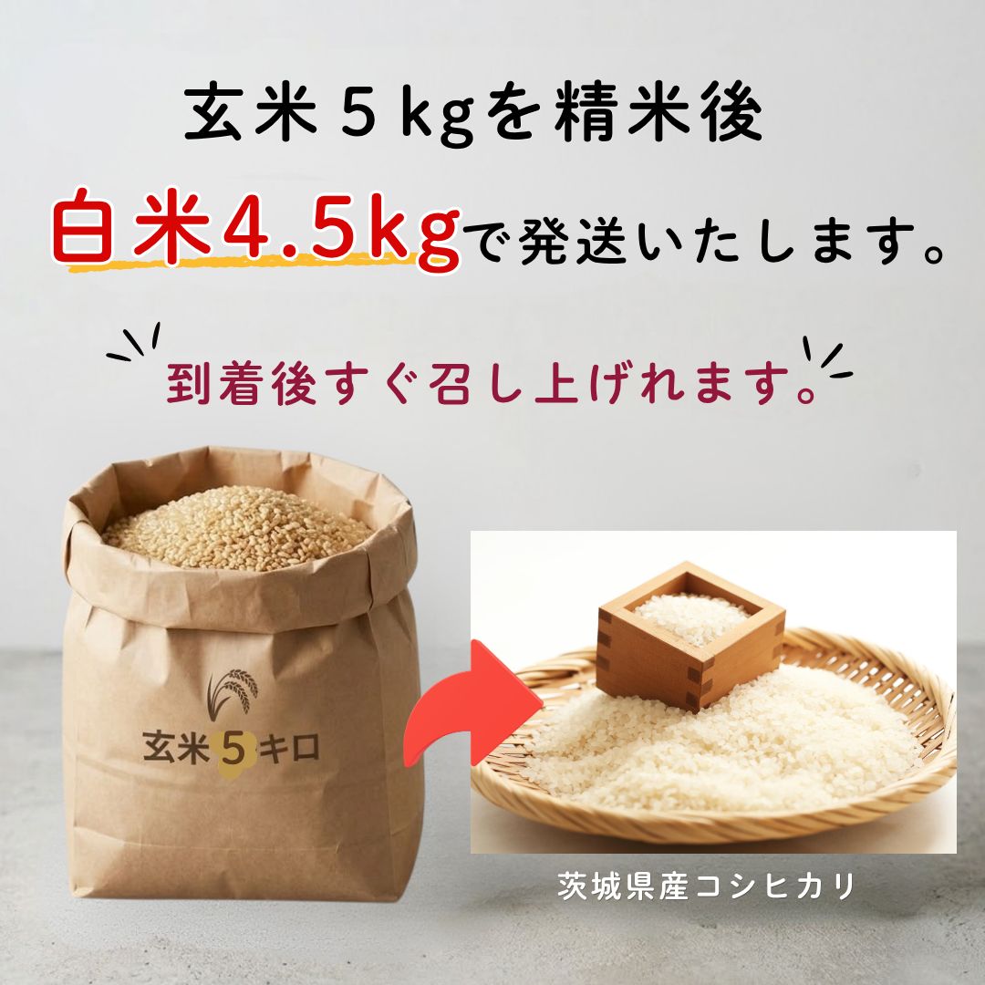 茨城 八郷産 コシヒカリ 玄米5kg 新米 農家直送 - メルカリ