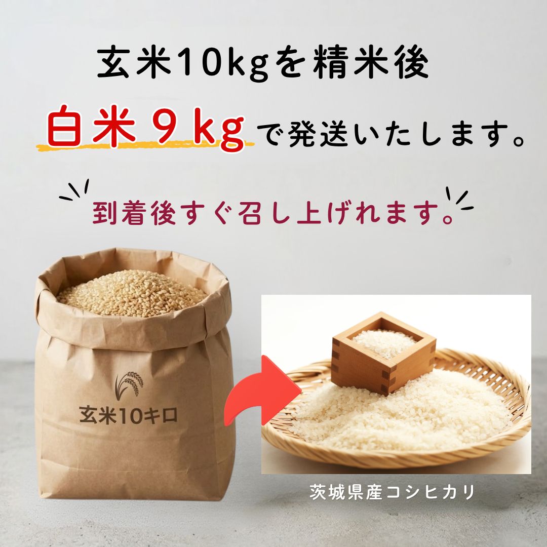 茨城 八郷産 コシヒカリ 玄米10kg 白米9kg 農家直送 - メルカリ
