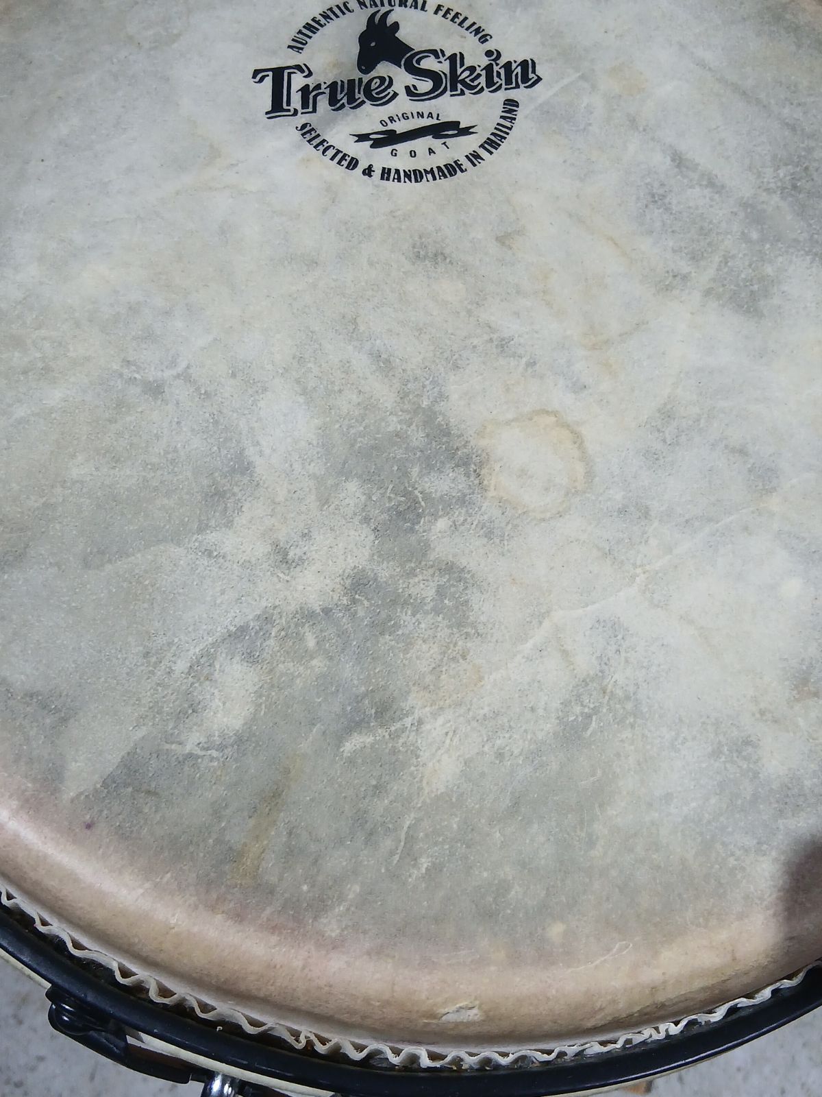 MEINL マイネル ジャンベ 打楽器 12インチ パーカッション レッド ヤギ