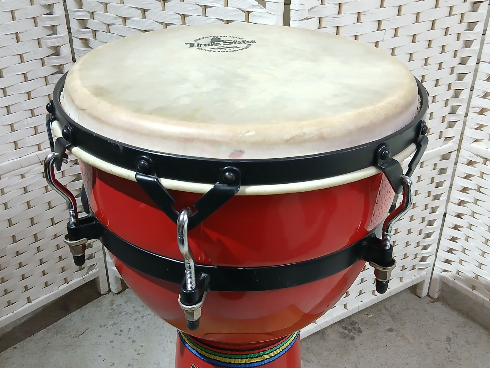 MEINL マイネル ジャンベ 打楽器 12インチ パーカッション レッド ヤギ