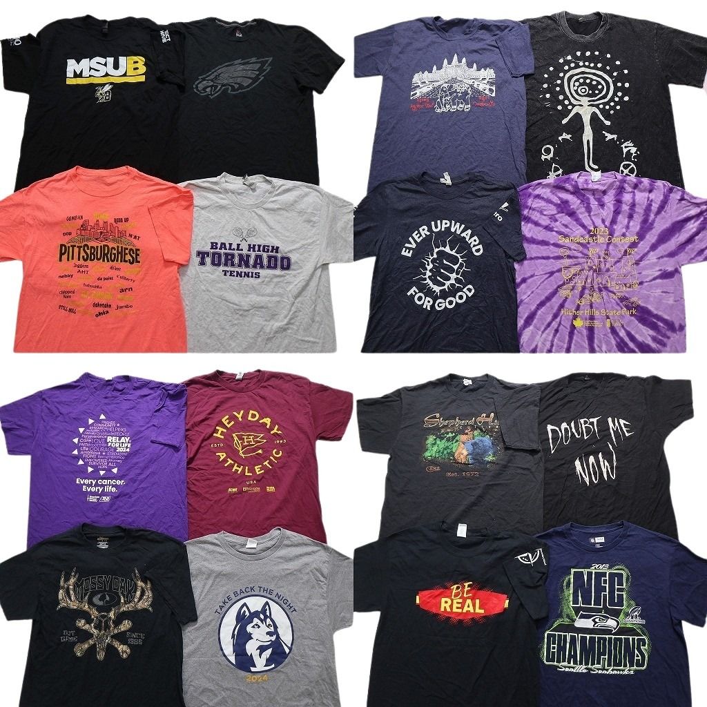 古着卸 まとめ売り プリント Tシャツ 16枚セット ( メンズ Ｌ ) 中古 古着 NH6551