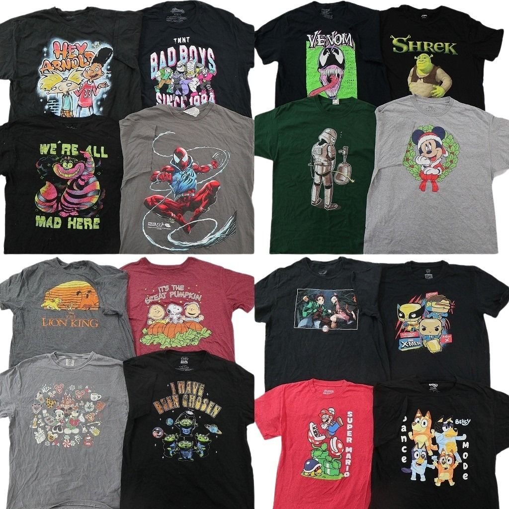 古着卸 まとめ売り キャラクター Tシャツ 16枚セット ( メンズ XL ) ディズニー スヌーピー マリオ 中古 古着 NH6393